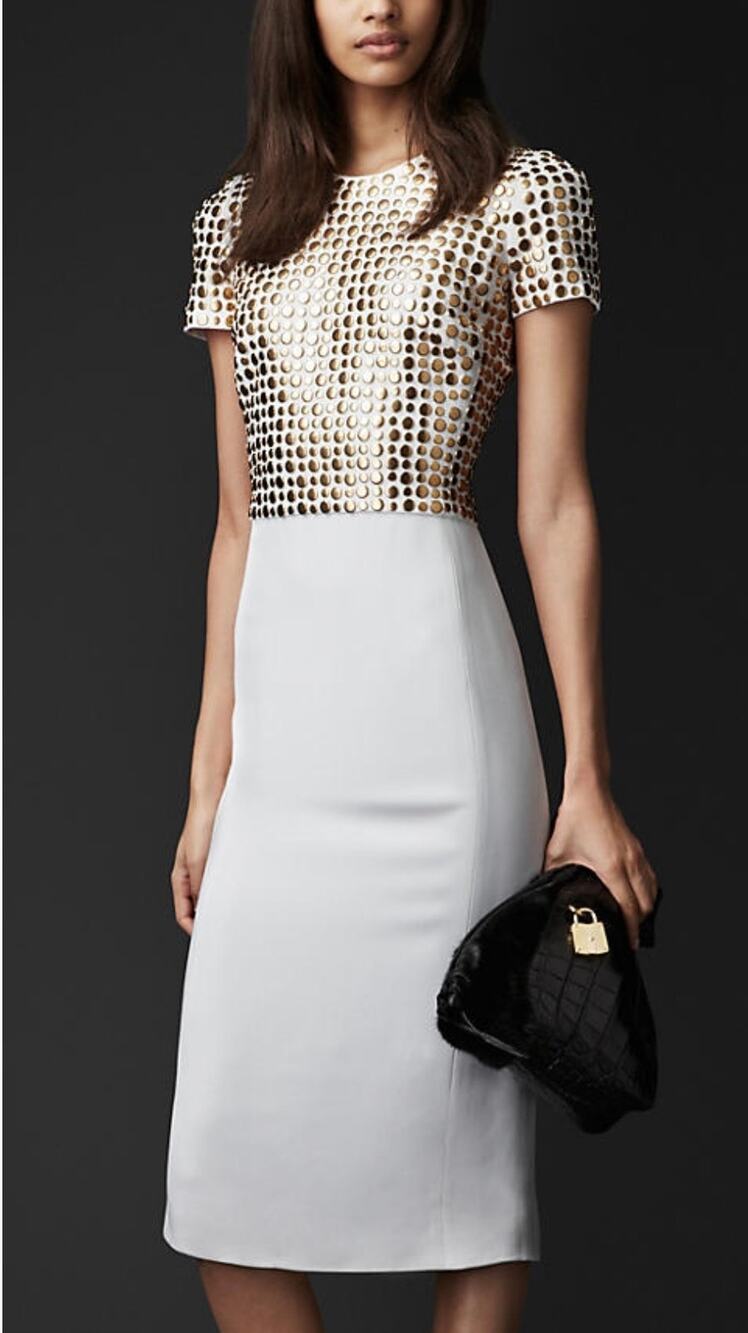 Burberry Prorsum Dress